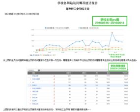 網(wǎng)站建設(shè)與維護(hù) 構(gòu)建數(shù)字門(mén)面并保障其長(zhǎng)效運(yùn)營(yíng)